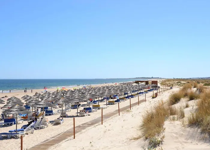 Royal Golf By Amandio Batista